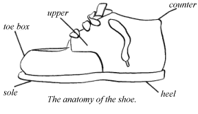 Anatomy of the Shoe